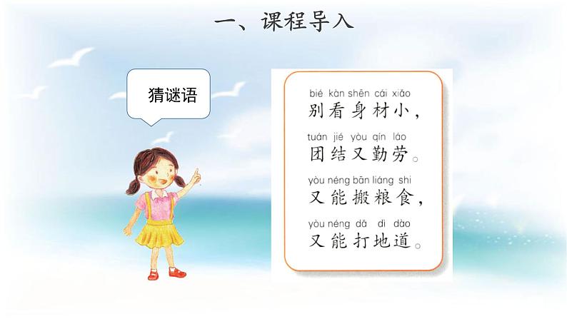 2.3  蚂蚁（ 课件19张PPT+教案+视频）02