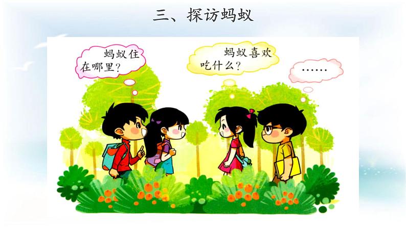 2.3  蚂蚁（ 课件19张PPT+教案+视频）06