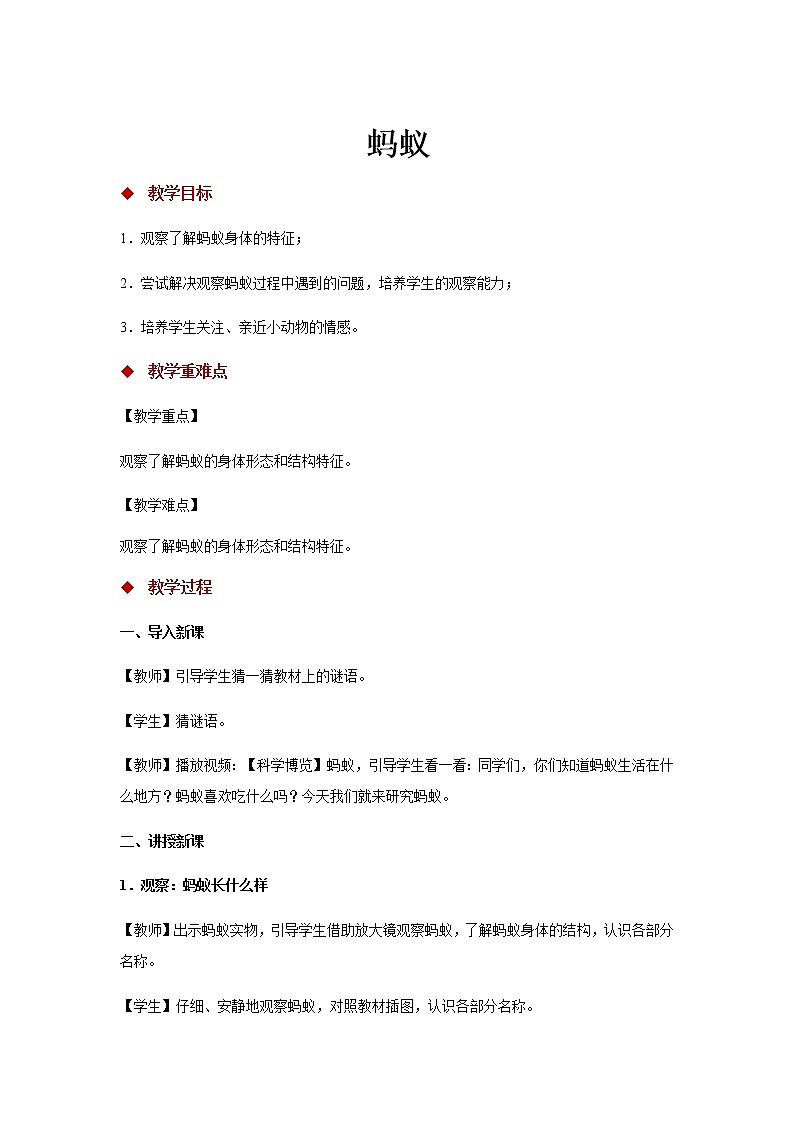 2.3  蚂蚁（ 课件19张PPT+教案+视频）01