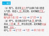 教科版四年级科学上册2.1感受我们的呼吸课时同步复习题课件PPT（含答案）