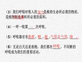 教科版四年级科学上册2.1感受我们的呼吸课时同步复习题课件PPT（含答案）