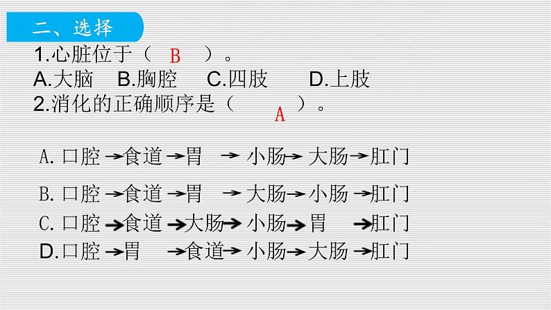 教科版四年级科学上册2.7食物在口腔里的变化课时同步复习题课件PPT（含答案）07