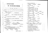 教科版三年级上册科学同步训练测试卷
