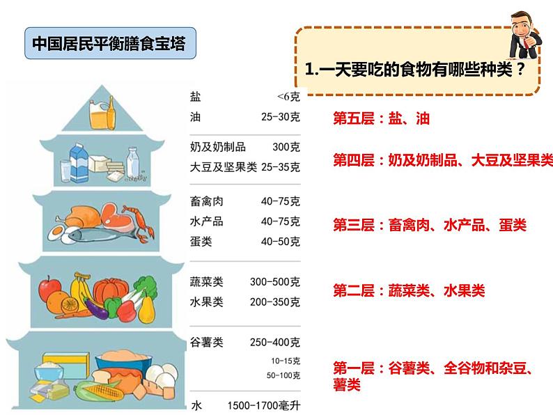 2.6 营养要均衡课件04