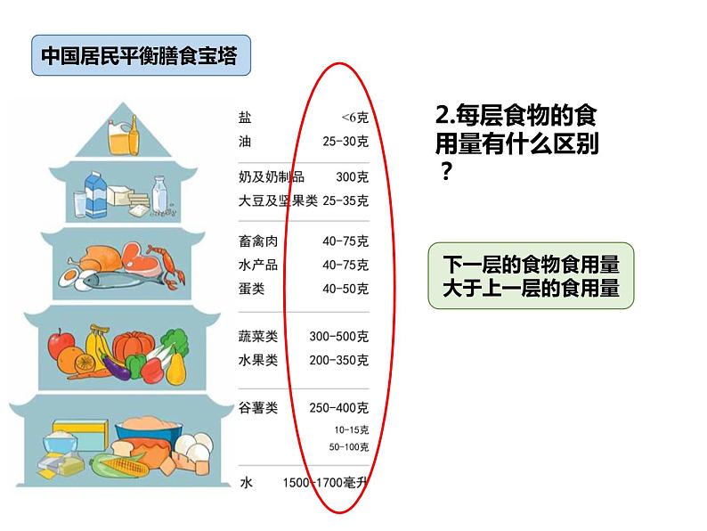 2.6 营养要均衡课件05