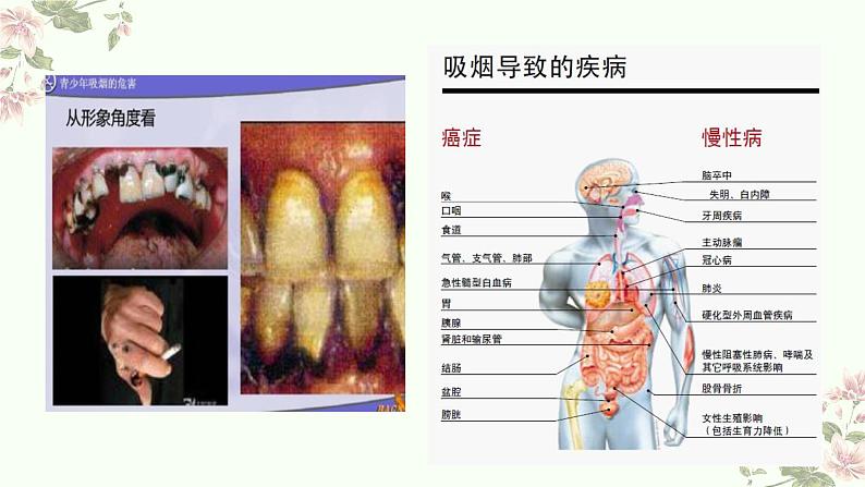 人教版五年级道德与法治上册  主动拒绝烟酒与毒品 课件第4页