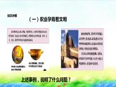 人教版四年级道法上册 农业是人类文明的摇篮 课件