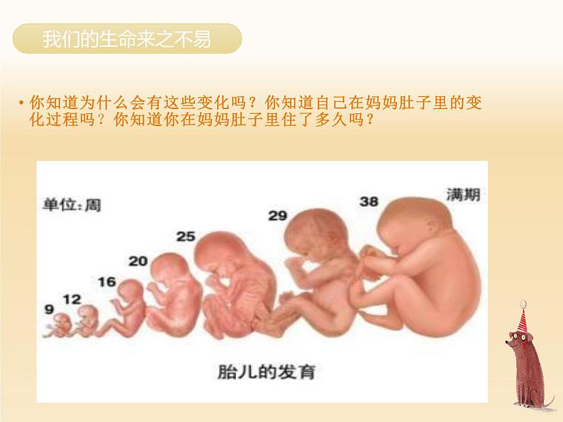 人教版三年级上册道法 我们的生命来之不易课件PPT第6页