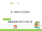 部编版六年级上册道德与法治课件《感受生活中的法律》