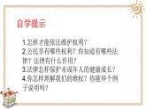 人教版六年级上册道德与法治 知法守法 依法维权 第一课时课件PPT