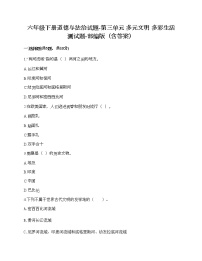 小学政治思品人教部编版六年级下册(道德与法治)第三单元 多样文明 多彩生活综合与测试课后复习题