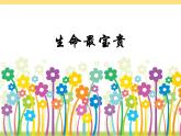 三年级上册道德与法治课件 - 3.7 生命最宝贵 课件  部编版（共14张PPT）