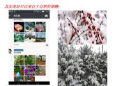 三年级上册道德与法治课件 - 3.7 生命最宝贵 课件  部编版（共14张PPT）