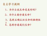 部编版道德与法治三年级上册-3.7 生命最宝贵 课件