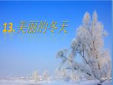 一年级上册道德与法治课件 - 4.13 美丽的冬天    部编版（共23张PPT）