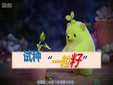 【人教部编版】最新二年级道德与法治下册：第四课 试种“一粒籽” 课件）