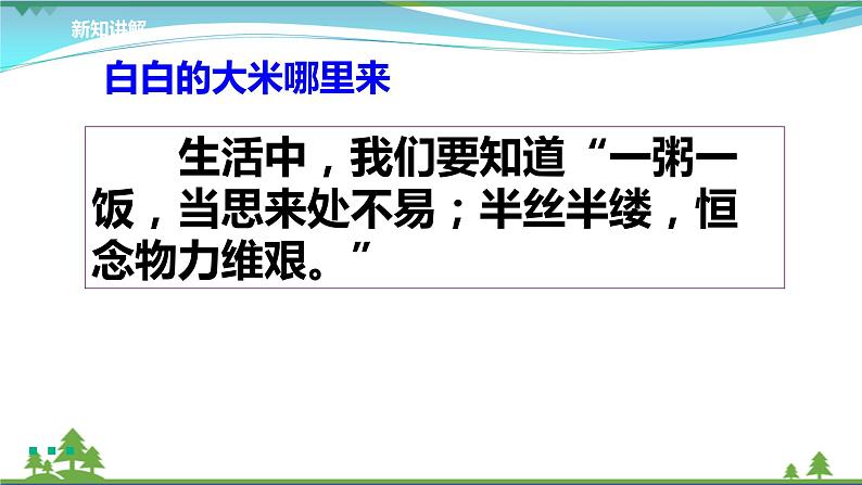 第7课第一课时《我们的衣食之源》(课件+素材）04