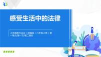 政治思品六年级上册(道德与法治)1 感受生活中的法律教学演示课件ppt