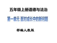 小学政治思品人教部编版五年级上册(道德与法治)3 主动拒绝烟酒与毒品教学课件ppt