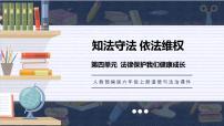 政治思品六年级上册(道德与法治)9 知法守法，依法维权说课课件ppt