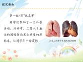 3 主动拒绝烟酒与毒品课件