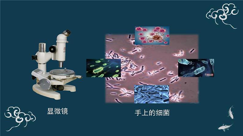 一年级道德与法治上册课件-10吃饭有讲究 部编版04