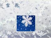 一年级道德与法治上册课件-13 美丽的冬天11-部编版