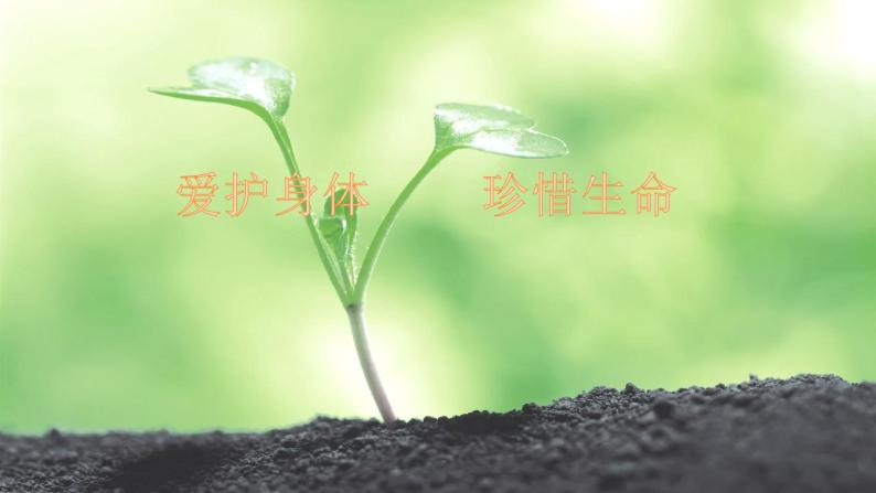 第7课生命最宝贵第二课时课件ppt 教案 练习03