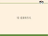 人教部编版道德与法治一年级上册 13 美丽的冬天(15)（课件）