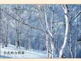 人教部编版道德与法治一年级上册 13 美丽的冬天(9)（课件）