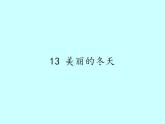 人教部编版道德与法治一年级上册 13 美丽的冬天(4)（课件）
