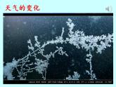 人教部编版道德与法治一年级上册 13 美丽的冬天(4)（课件）