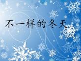 人教部编版道德与法治一年级上册 13 美丽的冬天(16)（课件）
