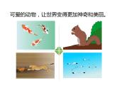 2.3可爱的动物（共14张）课件PPT