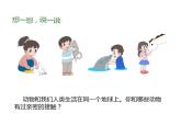 2.3可爱的动物（共14张）课件PPT