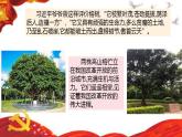 第4讲、唯改革才有出路《习近平新时代中国特色社会主义思想学生读本》（小学高年级）课件PPT