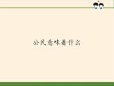 人教部编版六年级上册道德与法治《公民意味着什么》课件1