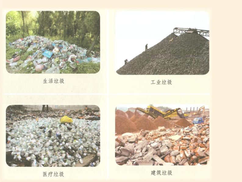 人教部编版四年级道德与法治上册11.变废为宝有妙招  课件06