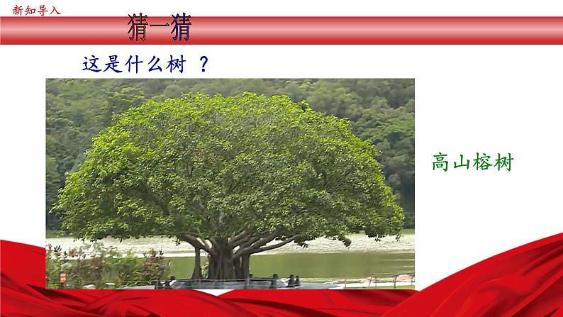 （高年级）第4讲《唯改革才有出路》 (课件)第3页
