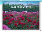部编版道德与法治二年级上册 10 .我们不乱扔 课件