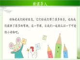 《可爱的动物》第1课时示范课教学课件【部编人教版一年级道德与法治下册】