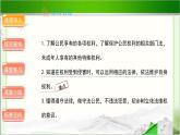 《知法守法  依法维权》第1课时示范公开课教学课件【部编版小学六年级道德与法治上册】