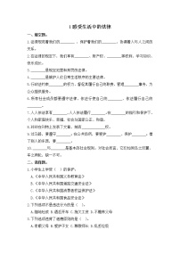 小学政治 (道德与法治)人教部编版六年级上册(道德与法治)1 感受生活中的法律课时训练