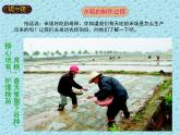 《我们的衣食之源》课件PPT