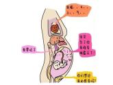 三年级道德与法治上册7生命最宝贵课件