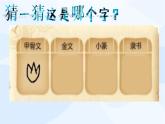 三年级道德与法治上册安全记心上的警示课件