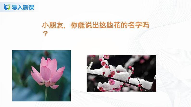 第六课 花儿草儿真美丽（2课时） 课件+教案+练习+素材03