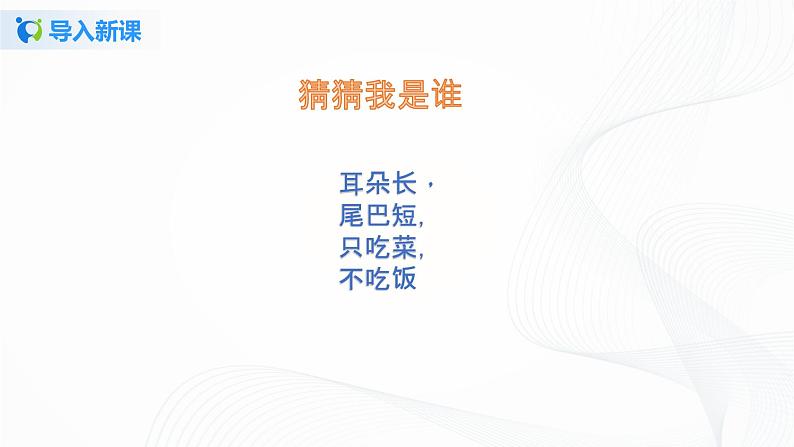 7.可爱的动物第3页