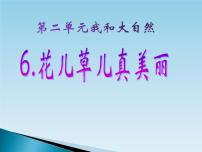 人教部编版一年级下册第二单元 我和大自然6 花儿草儿真美丽课文配套课件ppt
