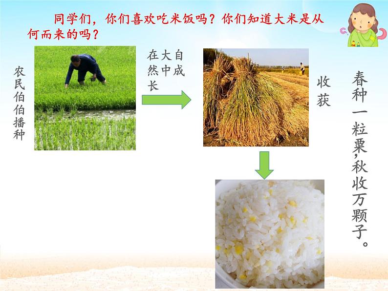 人教版（部编版）小学道德与法治一年级下册 8 大自然，谢谢您  教案、学案、课件03